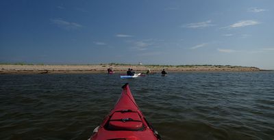 P7230005.jpg