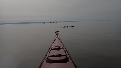 P9300001.jpg