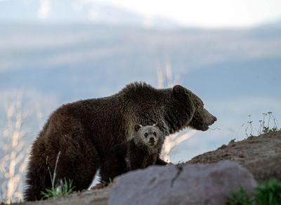 Raspberry and COY at Lake Butte Overlook.jpg