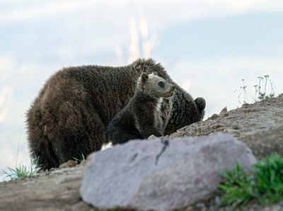 Raspberry and COY at Lake Butte.jpg