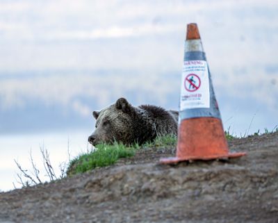Raspberry at Lake Butte with No Hiking Sign.jpg