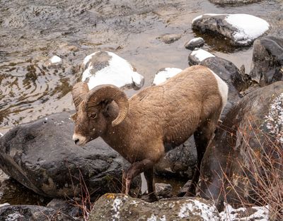 Stepping on the slippery rocks.jpg