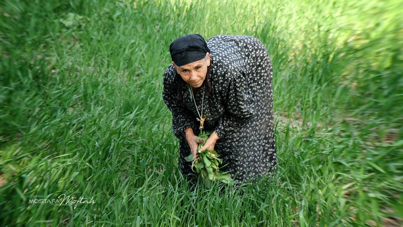 Woman Farmer