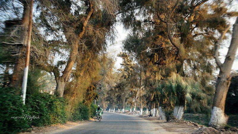 Shobrament Road