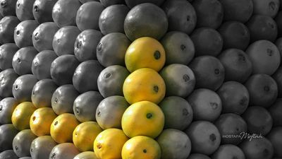 Oranges | Selective Color