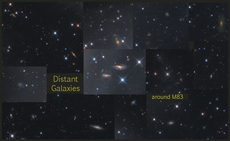 Some of the many distant galaxies around M83