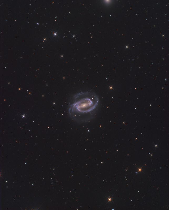 NGC 1300 - The Sprinkler Galaxy
