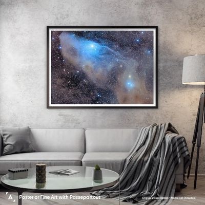 Premium prints for your wall