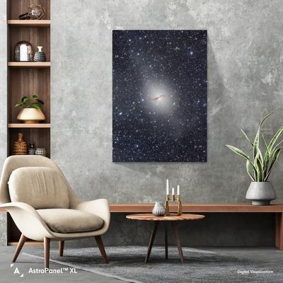 Something special for your home or office