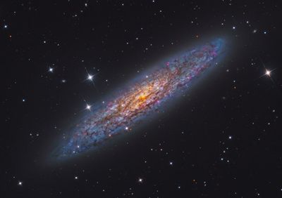 A dusty Galactic Metropolis