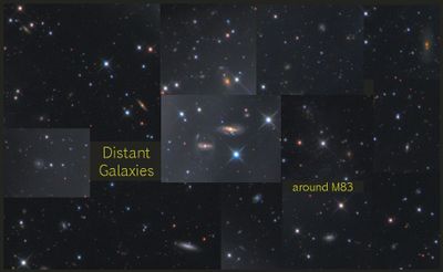 Some of the many distant galaxies around M83