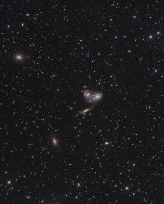 Galaxies in Pavo