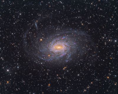 NGC 6744 The Milky Way's twin