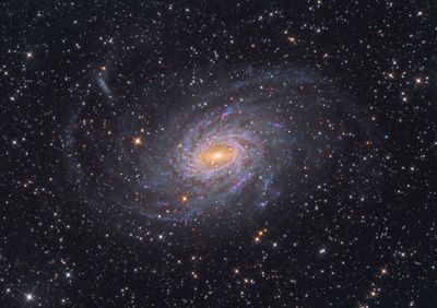 NGC 6744 in Pavo