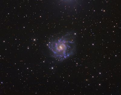 NGC 7424 in Grus