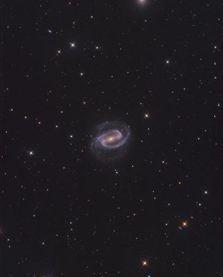 NGC 1300 - The Sprinkler Galaxy