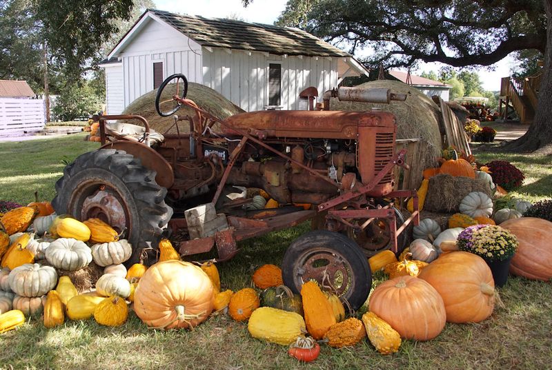 Great Pumpkin Roundup