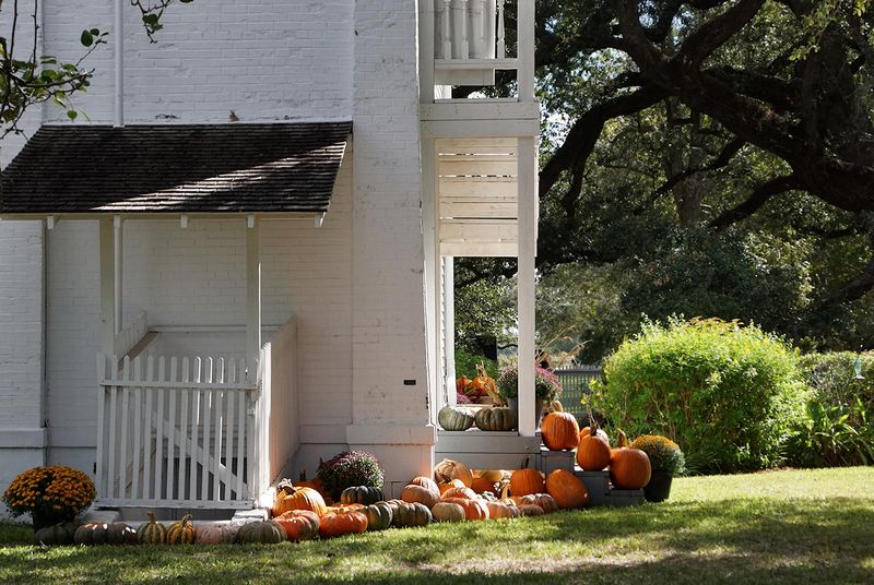 Great Pumpkin Roundup
