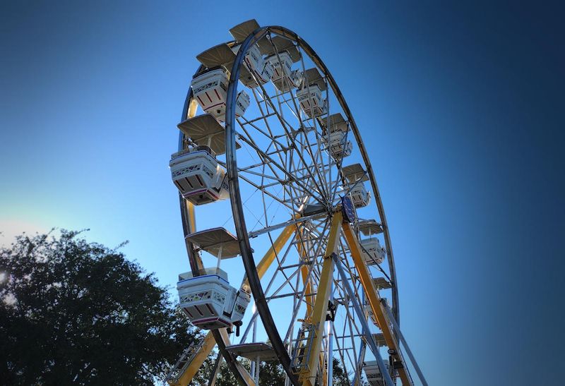 County Fair