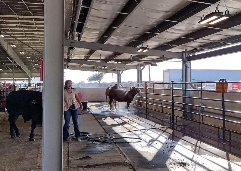 At The Cow Wash