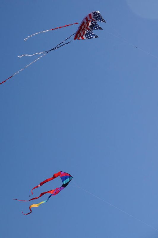 Kites