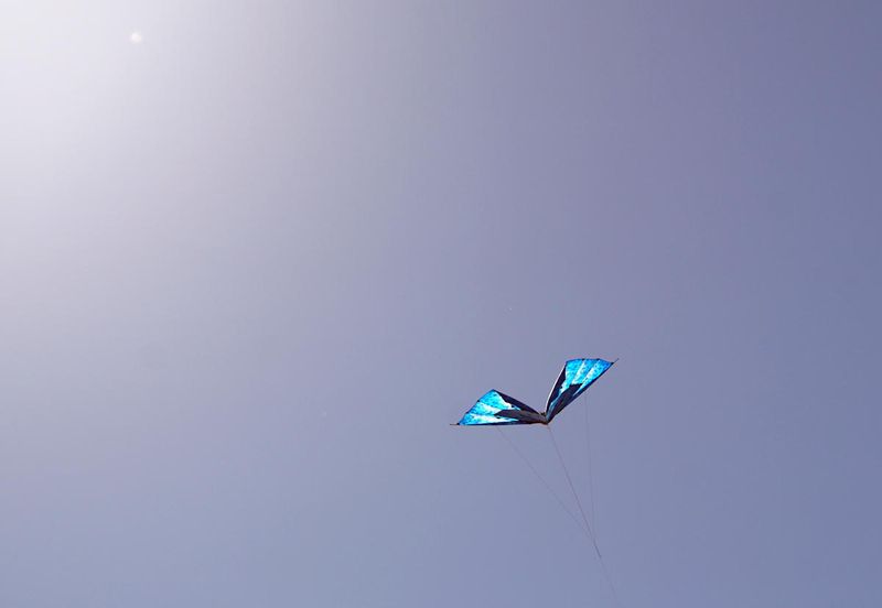 Kite