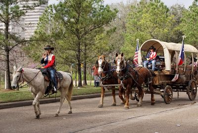 Iron Horse Ranch Wagon