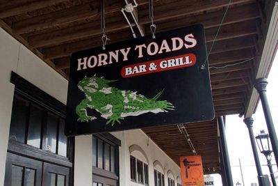 Horny Toads