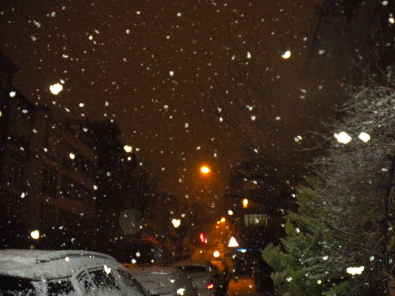DSCN0355.JPG