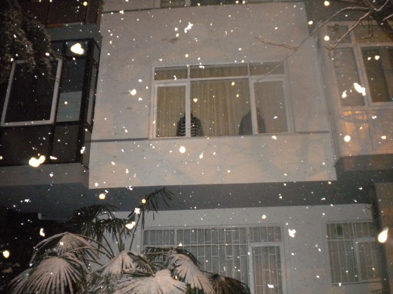 DSCN0368.JPG