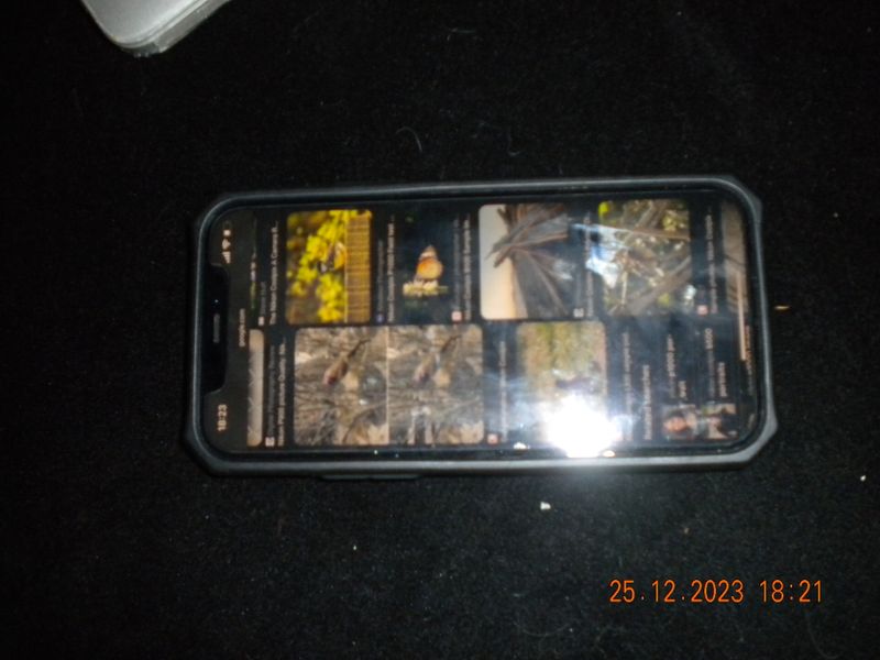 DSCN0435.JPG