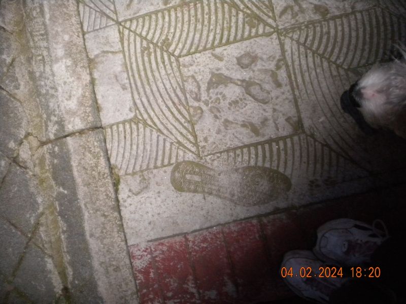 DSCN0516.JPG
