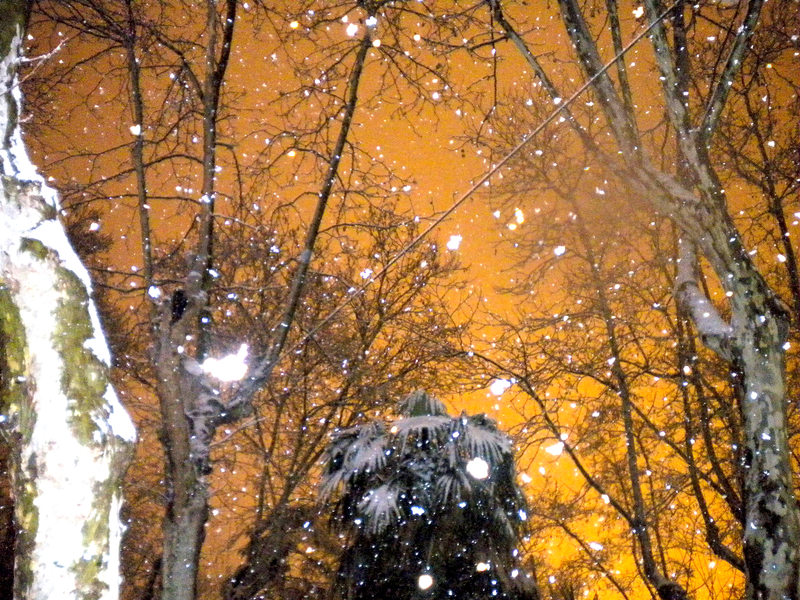 DSCN0512.JPG
