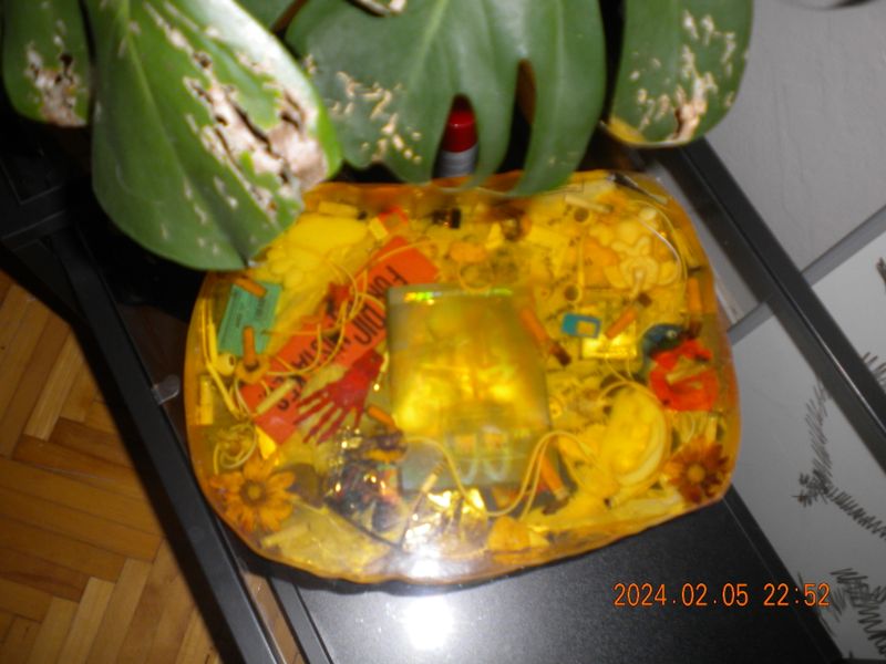 DSCN0566.JPG