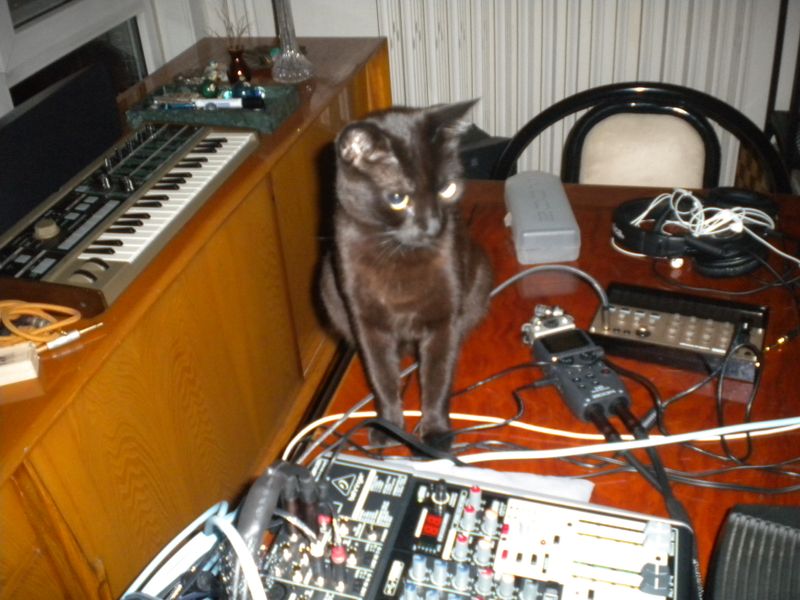 DSCN0538.JPG
