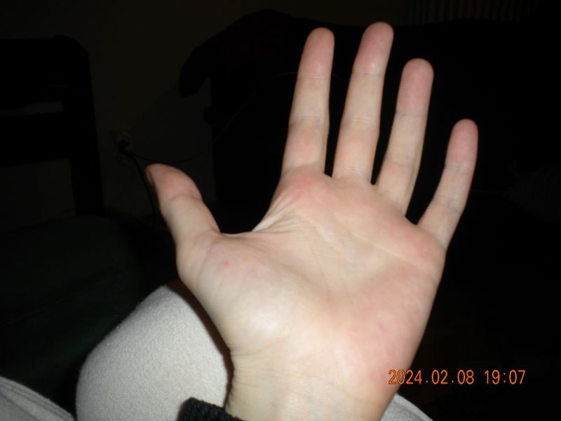 DSCN0585.JPG