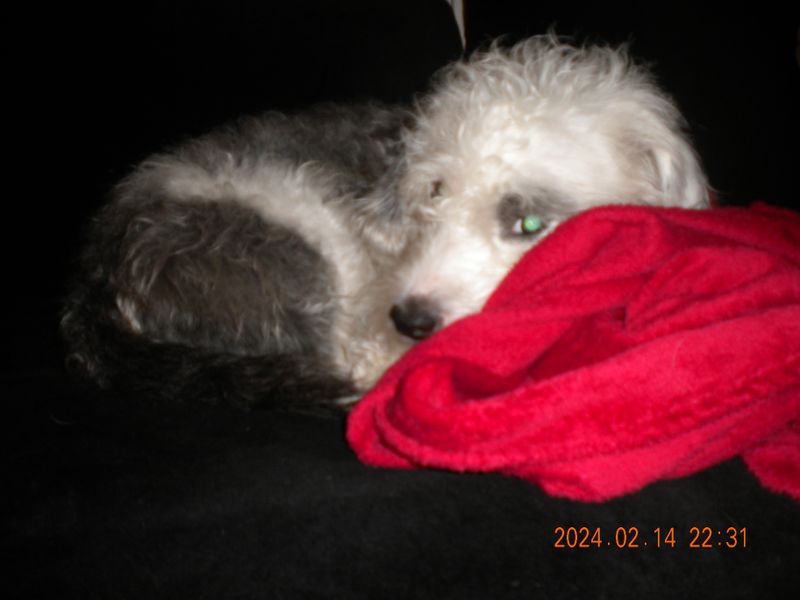 DSCN0652.JPG