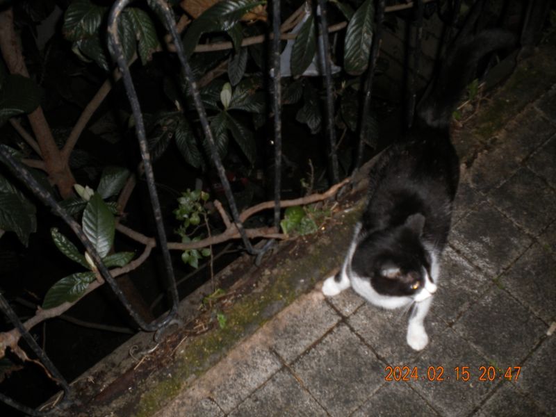 DSCN0653.JPG