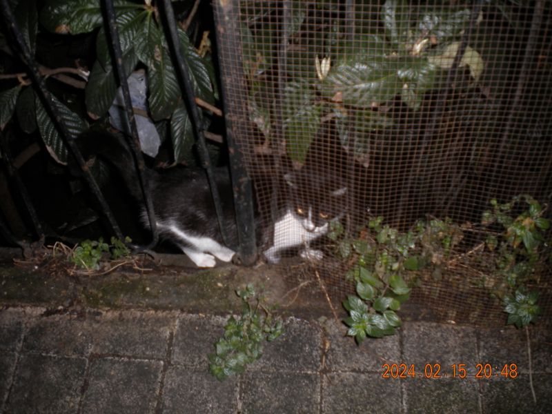 DSCN0656.JPG