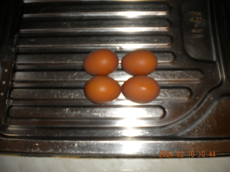 DSCN0681.JPG