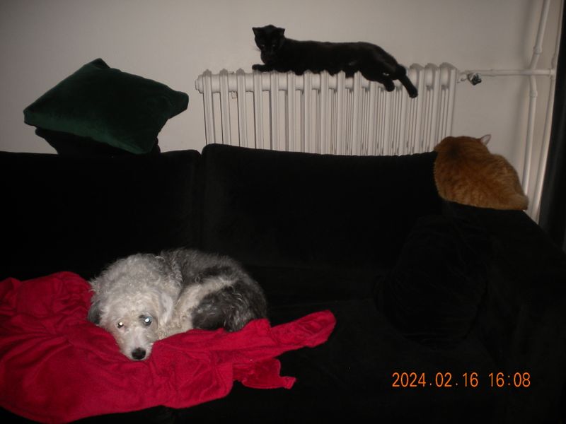 DSCN0686.JPG