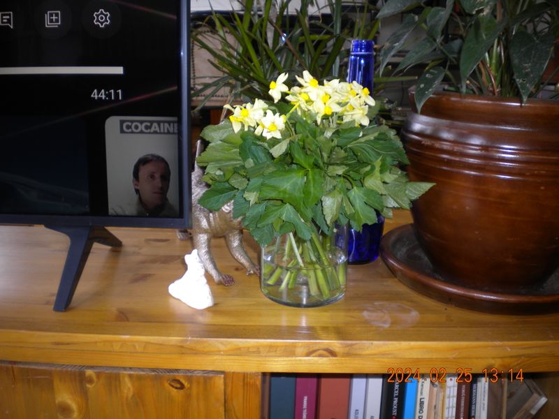 DSCN0690.JPG
