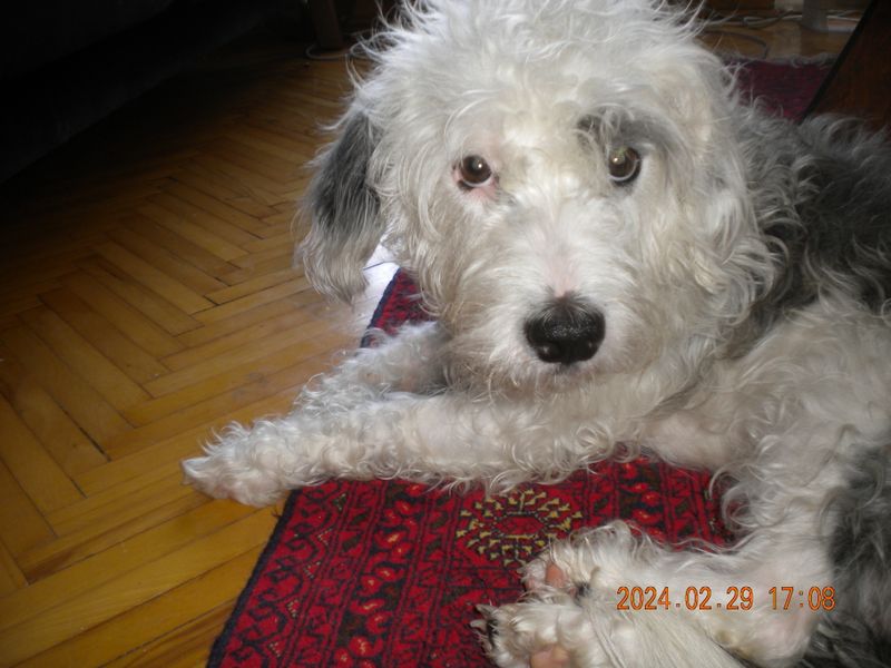 DSCN0705.JPG