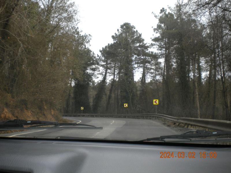 DSCN0726.JPG