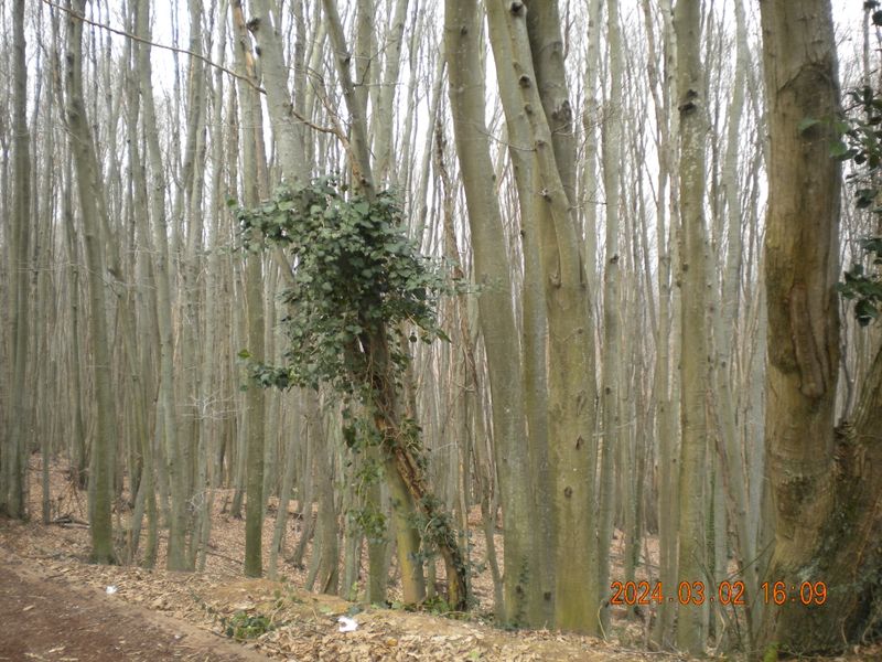DSCN0727.JPG