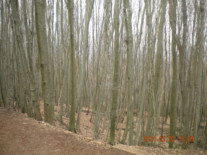 DSCN0728.JPG