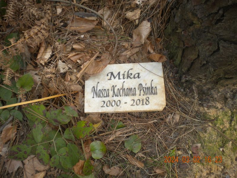 DSCN0731.JPG