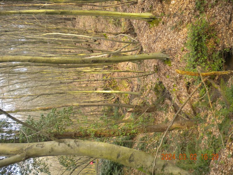 DSCN0732.JPG