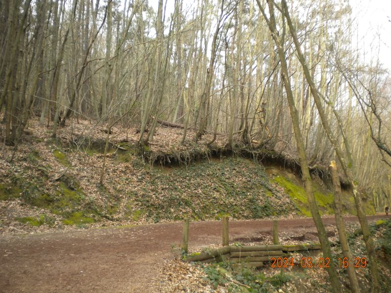 DSCN0733.JPG