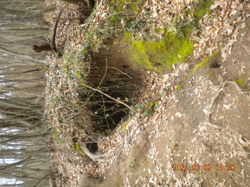 DSCN0734.JPG